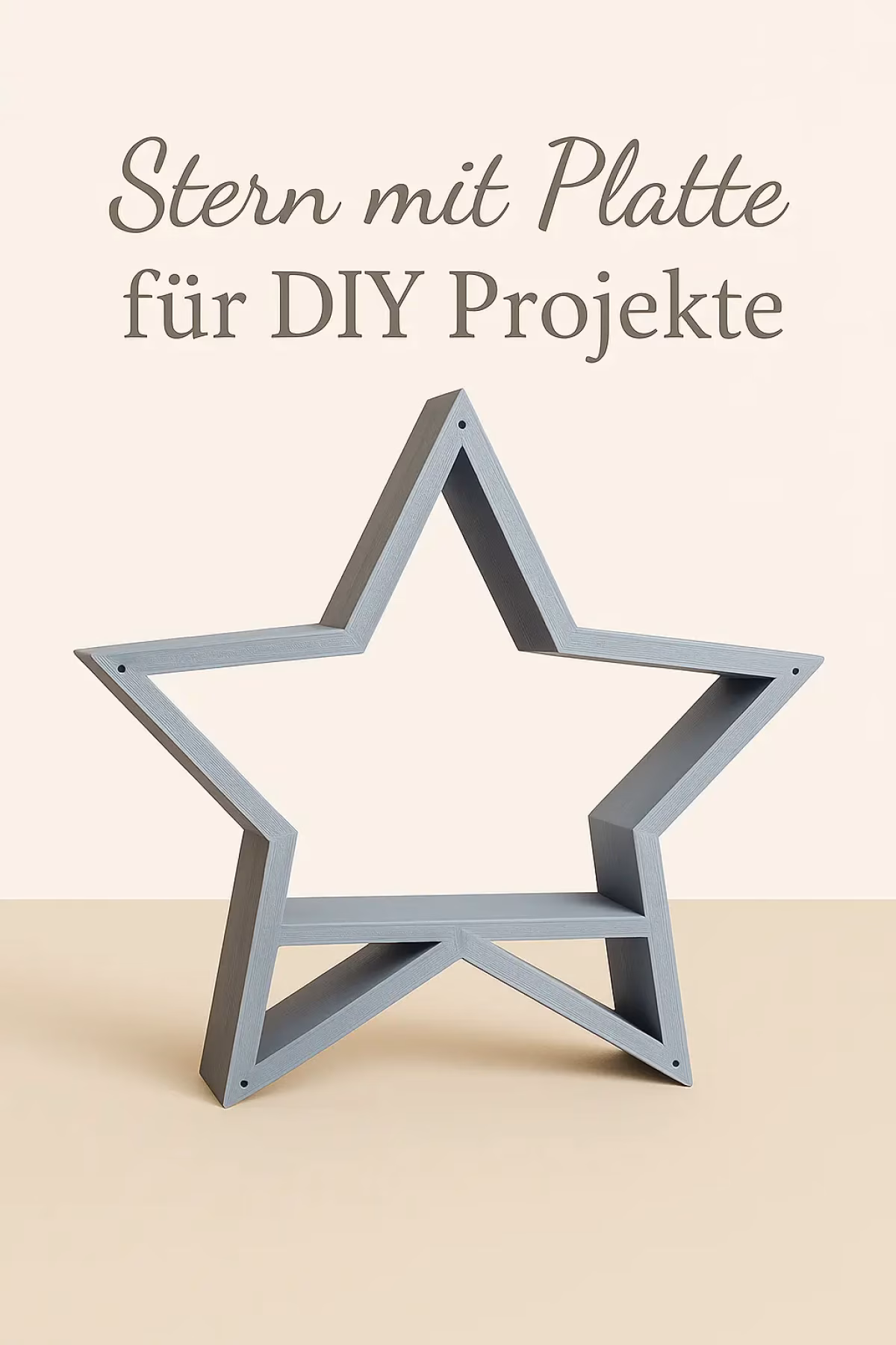 Weihnachtsstern mit integrierter Platte - Deko zum Selbstgestalten