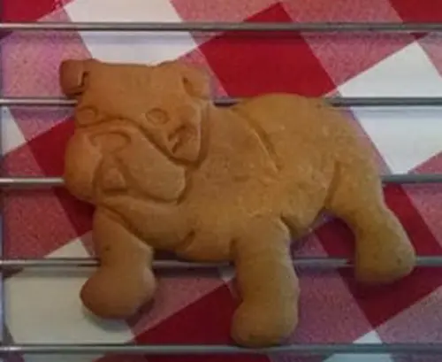 Ausstechform Englische Bulldogge