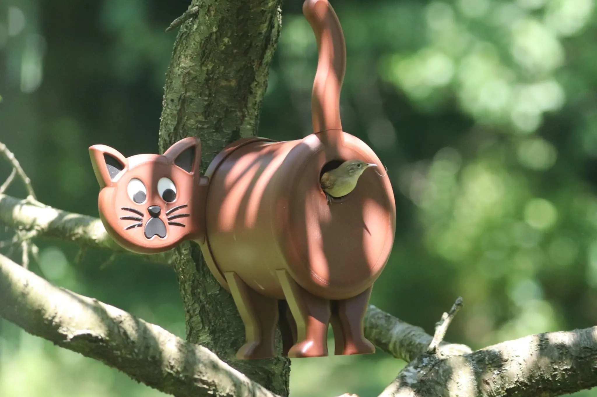 Vogelhaus/Nistkasten Die Katze
